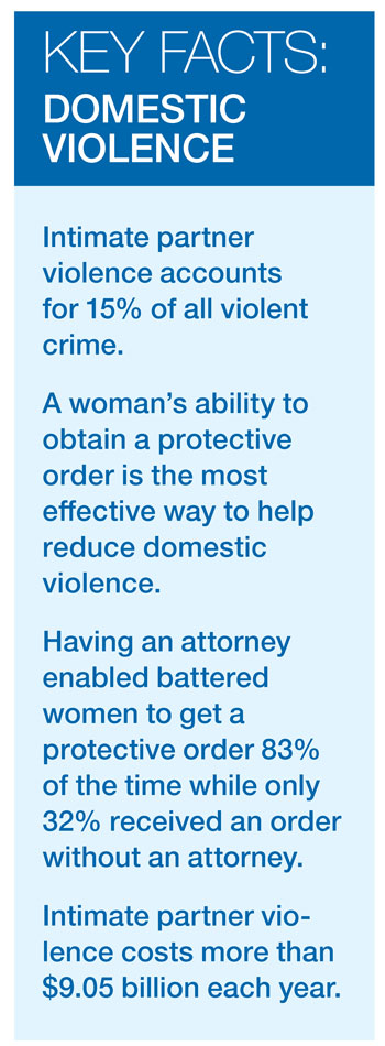 Key Facts -Domestic Violence