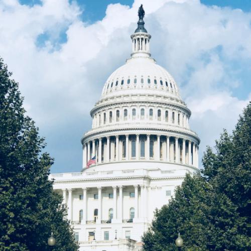 US Capitol Building, during day, through trees