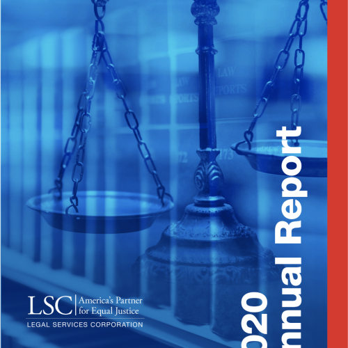 2020 LSC Annual Report Cover