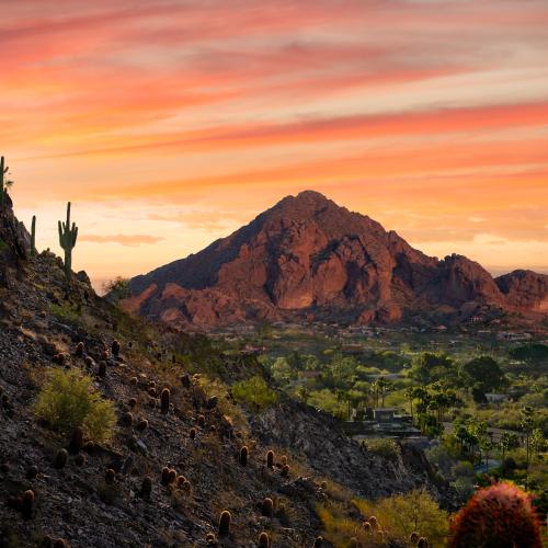 Phoenix AZ