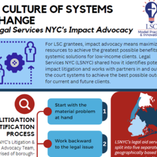 lsnyc impact advocacy