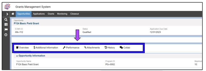 figure_14_image_of_tabs_listed.jpg